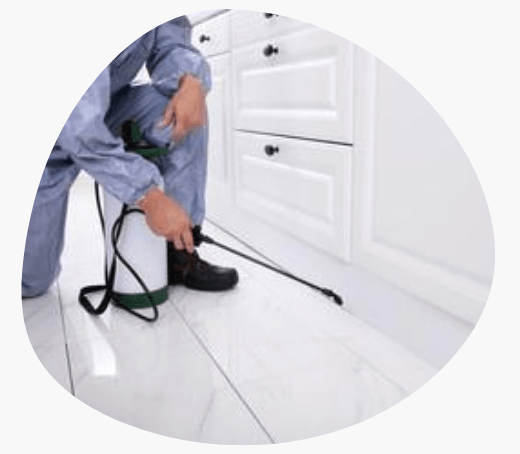 Pest Control New Farm
