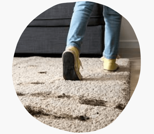 Rug Cleaning New Farm