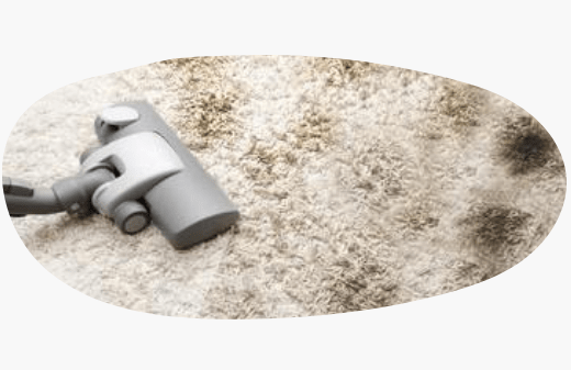 Rug Cleaning Service New Farm