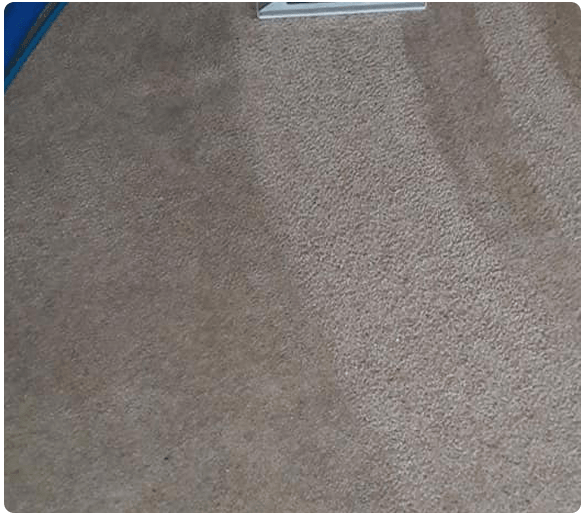 24_7 Carpet Cleaning services in New Farm
